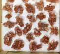Lot: Assorted Twinned Aragonite Clusters - Pieces #134145-1